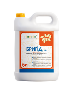 Бригід 1010078 фото