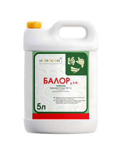 Балор 5л 1010097 фото